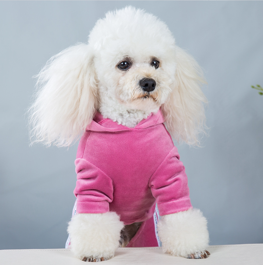 Pet Velvet Jumpsuit Athletic Hoodie with Rhinestone Design